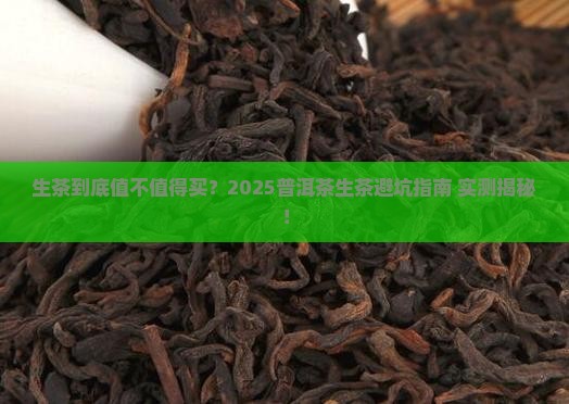 百家争鸣普洱茶生茶
