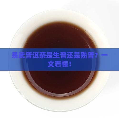 易武普洱茶是生普还是熟普