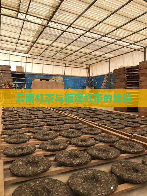 云南红茶和福建红茶