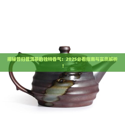 昔归普洱茶属于什么香