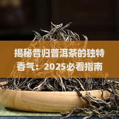 昔归普洱茶属于什么香
