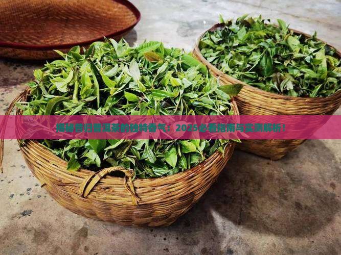 昔归普洱茶属于什么香