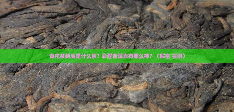 青花茶是什么茶彩程普洱怎么样