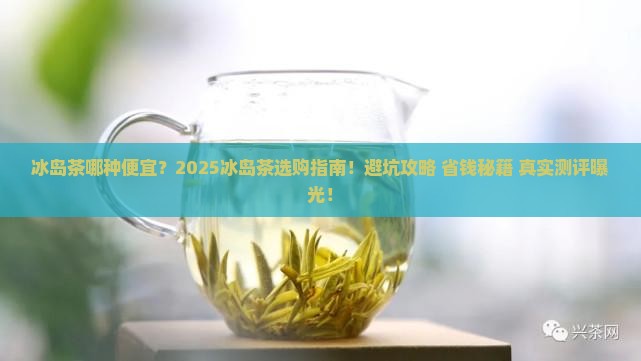 冰岛茶哪种便宜 冰岛茶哪种便宜