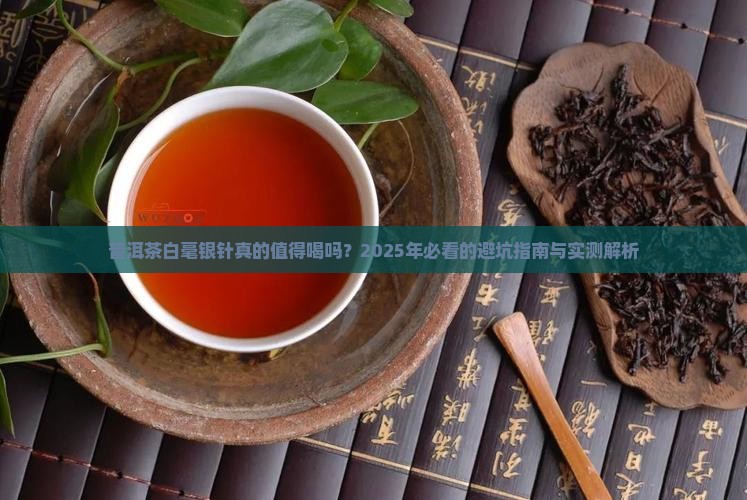 普洱茶白毫银针