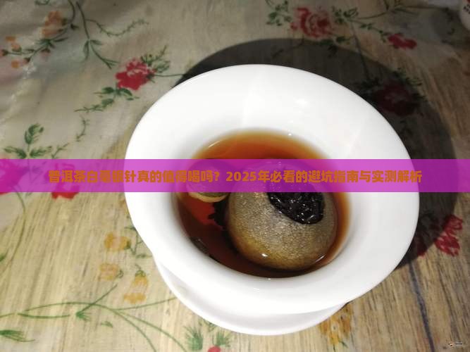 普洱茶白毫银针