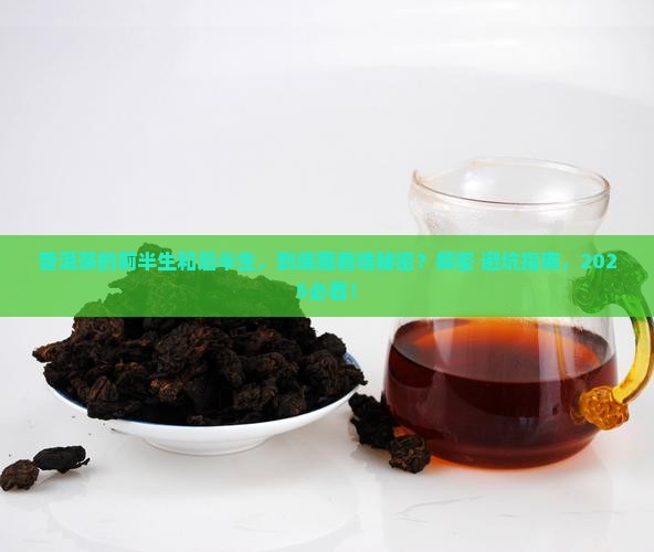 普洱茶的前半生和后半生