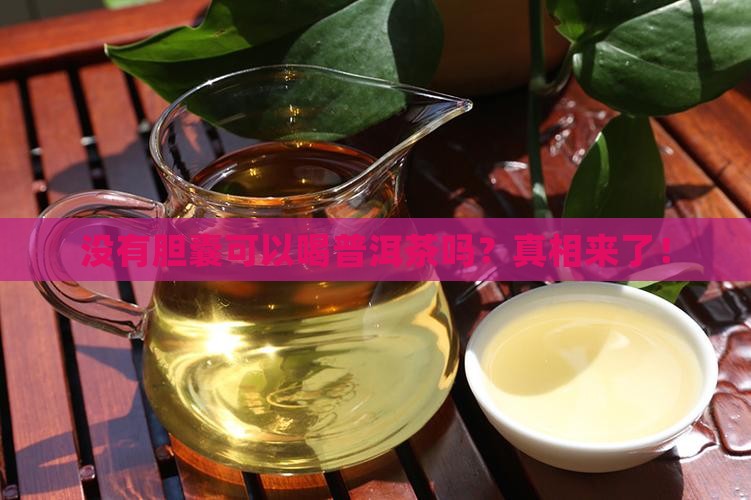 没有胆囊可以喝普洱茶吗