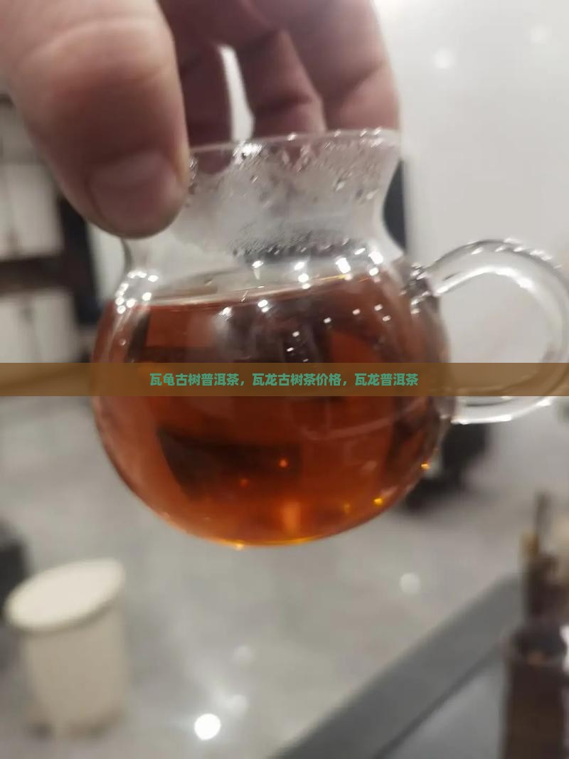 瓦龟古树普洱茶