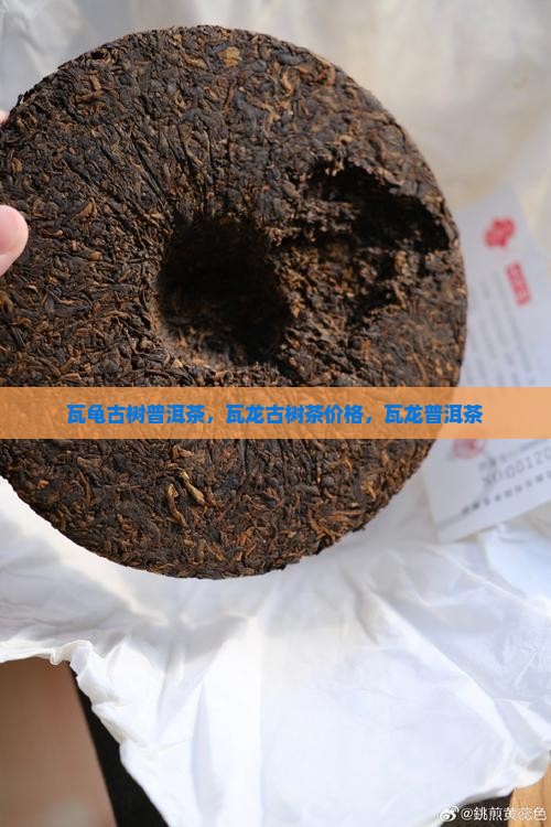 瓦龟古树普洱茶