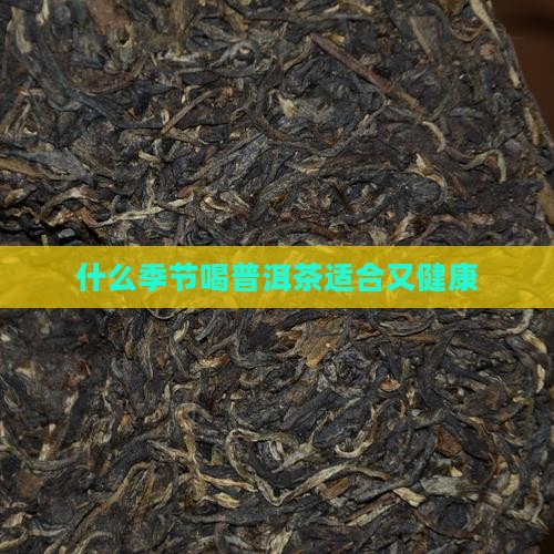 什么季节喝普洱茶好喝又健康 什么季节喝普洱茶好喝又健康