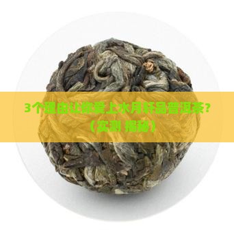 水月轩品普洱茶