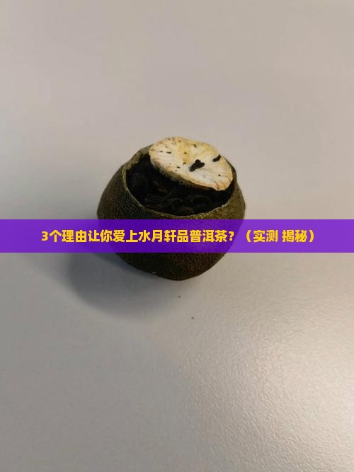水月轩品普洱茶