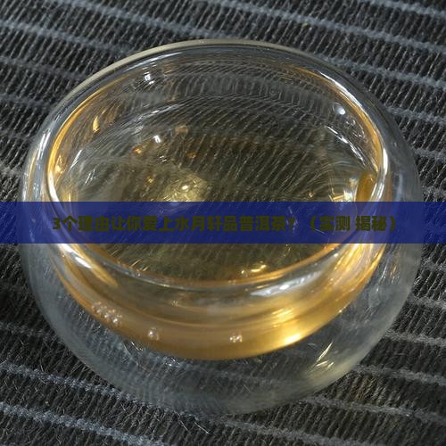 水月轩品普洱茶
