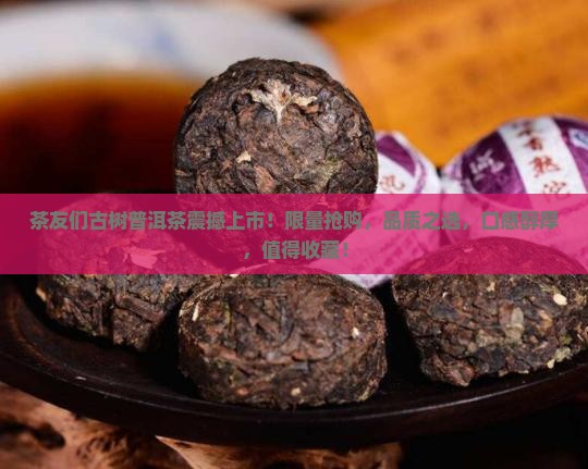茶友们古树普洱茶