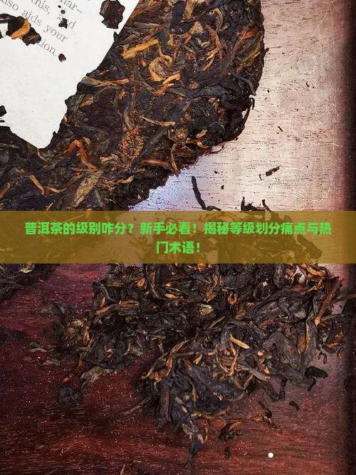 普洱茶的级别咋分