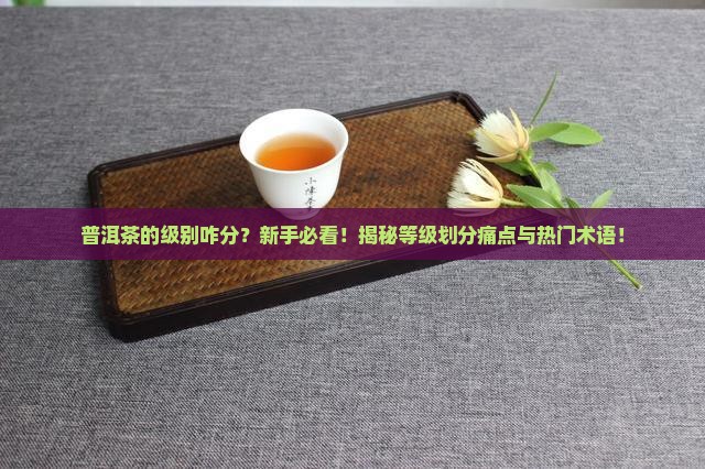 普洱茶的级别咋分