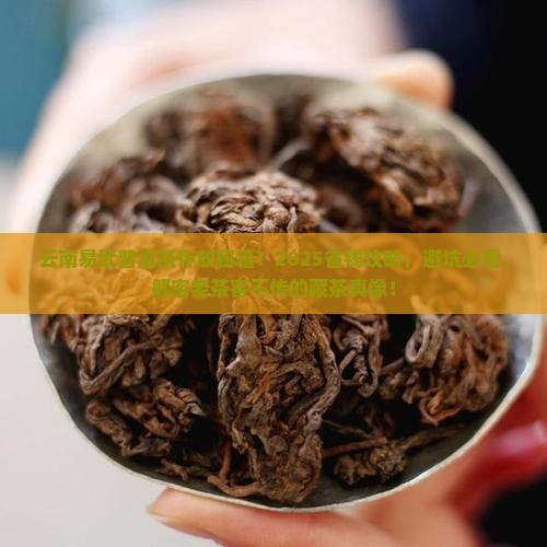 云南易武普洱茶存放