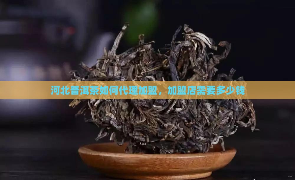 河北普洱茶如何代理加盟