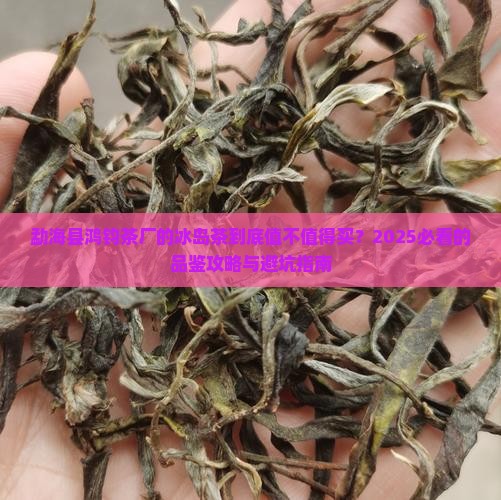 勐海县鸿钧茶厂的冰岛茶