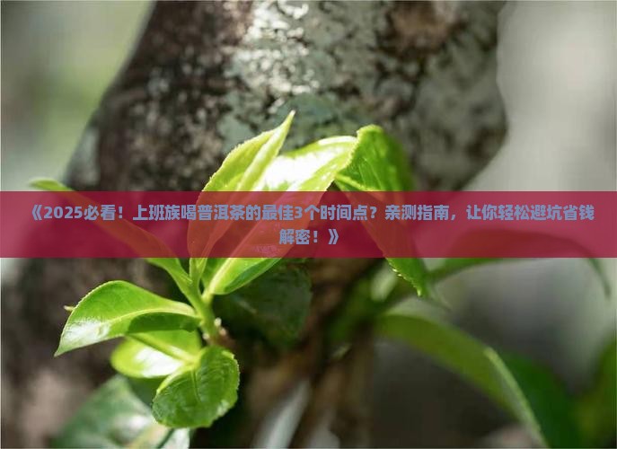 普洱茶在什么时候喝好