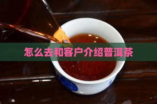 怎么去和客户介绍普洱茶 怎么去和客户介绍普洱茶