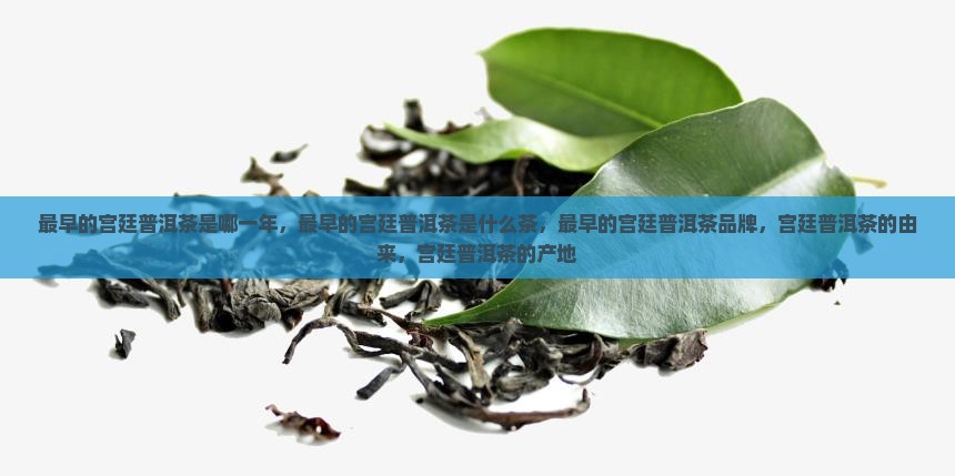 最早的宫廷普洱茶