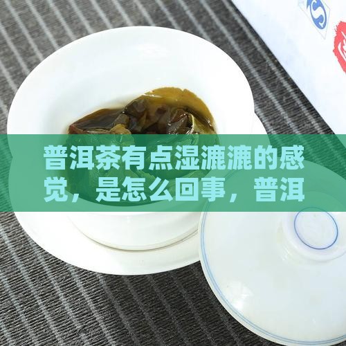 普洱茶湿漉漉的感觉