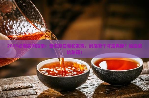 普洱茶白毫好还是发霉好