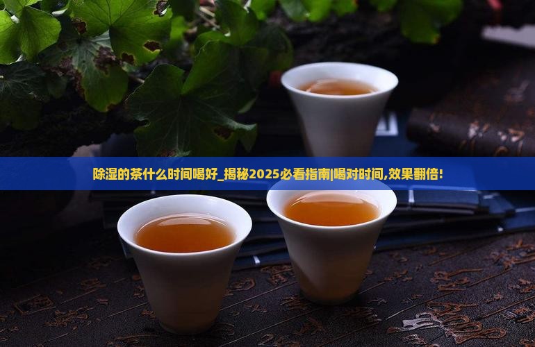 除湿的茶什么时间喝好 除湿的茶什么时间喝好