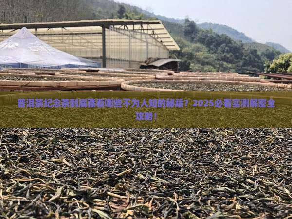 普洱茶纪念茶的特点是 普洱茶纪念茶的特点是