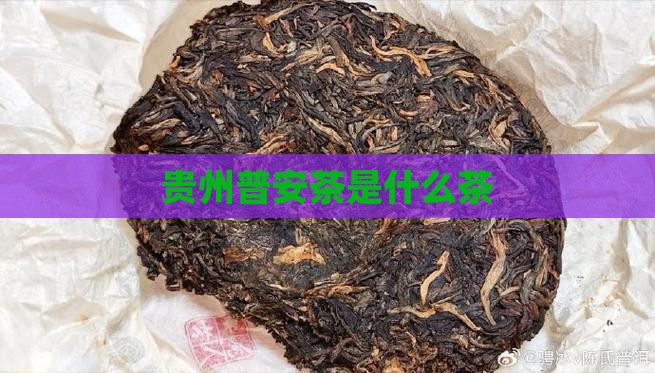 贵州普安茶是什么茶 贵州普安茶是什么茶