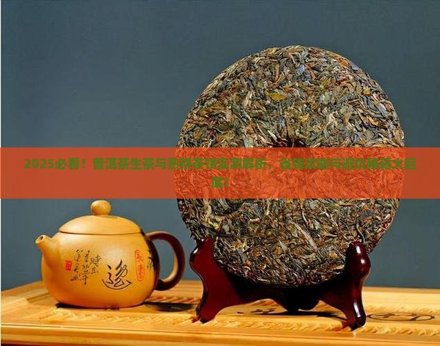 普洱茶生茶与熟茶茶饼
