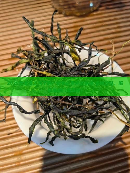 今年普洱茶上市了吗
