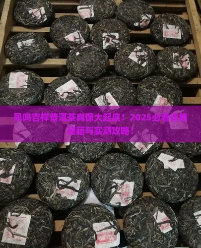凤鸣吉祥普洱茶