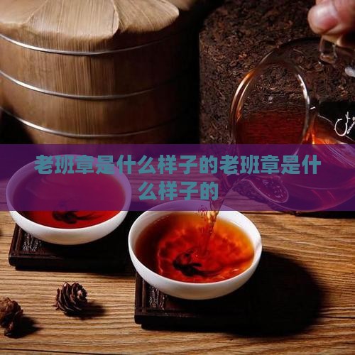 老班章是什么样子的