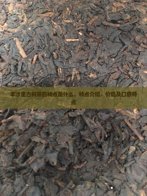 丰沙里古树茶的特点