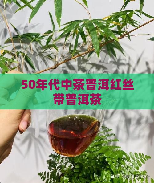 50年代中茶红丝带普洱茶
