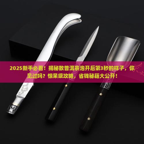 散普洱茶泡开的样子