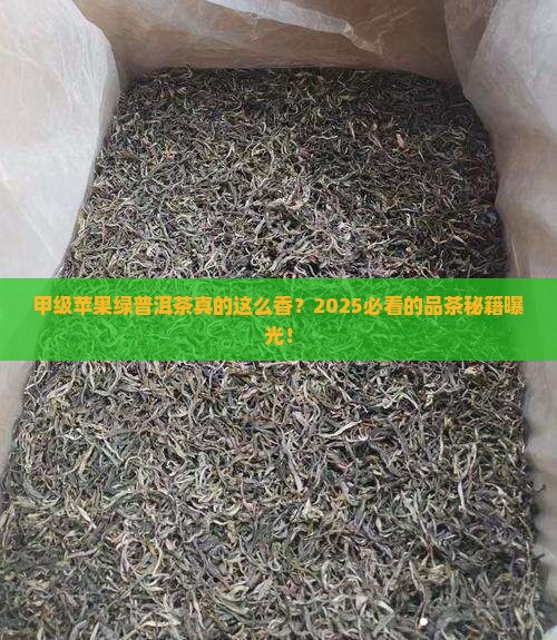 甲级苹果绿普洱茶