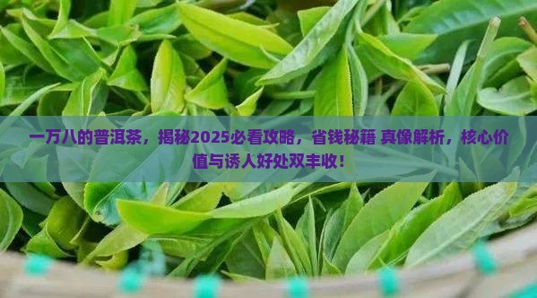 一万八的普洱茶