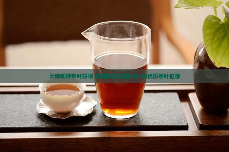 云南哪种茶叶好喝