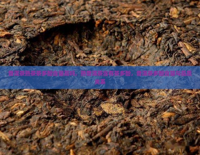 普洱茶熟茶茶多酚含量高吗