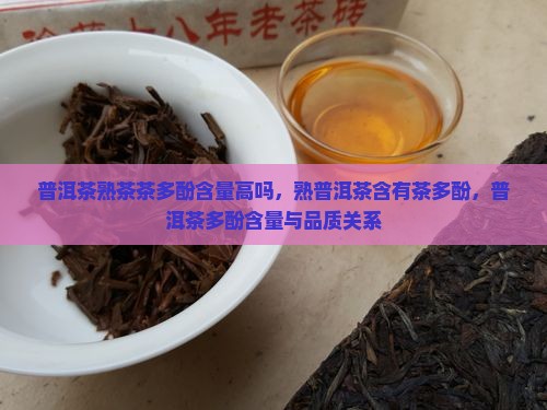 普洱茶熟茶茶多酚含量高吗