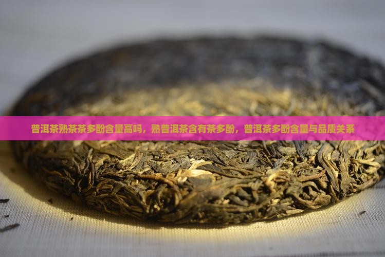 普洱茶熟茶茶多酚含量高吗