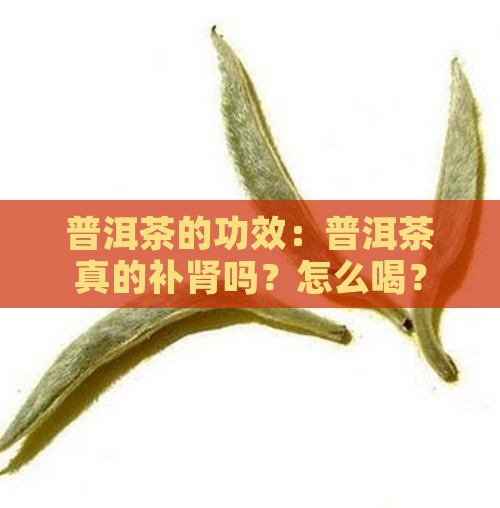 普洱茶真的补肾吗怎么喝