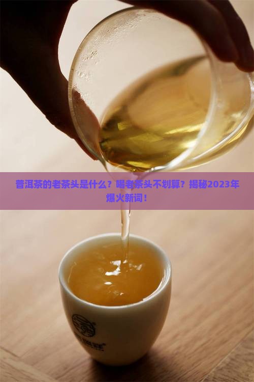 普洱茶的老茶头是什么