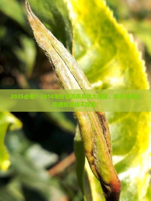 2014年份普洱茶好吗