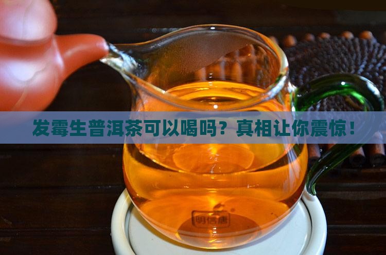 发霉生普洱茶可以喝吗