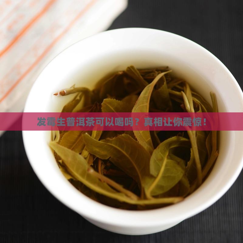 发霉生普洱茶可以喝吗